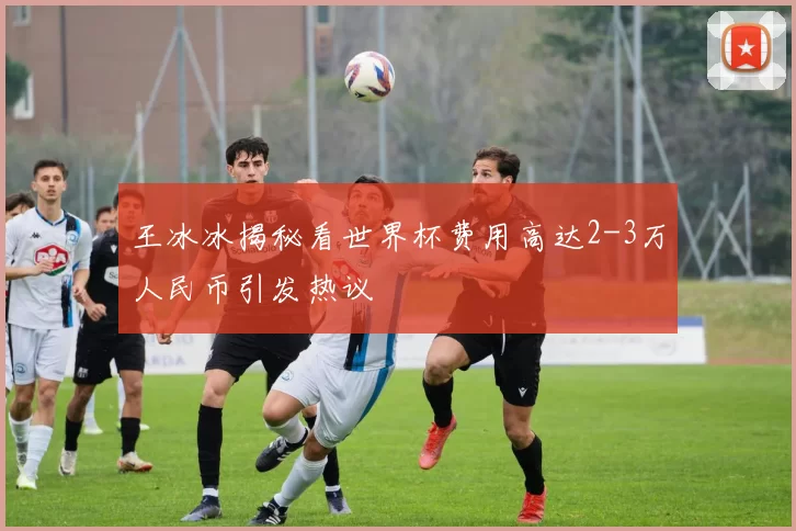 王冰冰揭秘看世界杯费用高达2-3万人民币引发热议